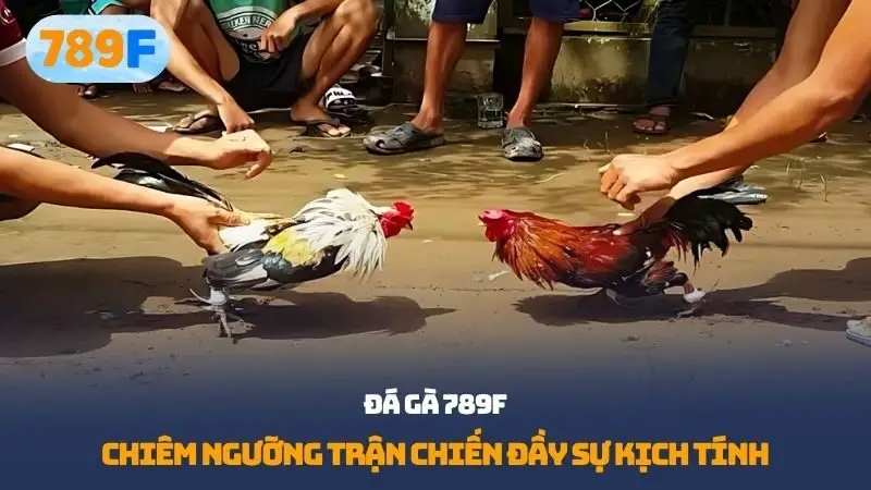 Đá Gà 789f