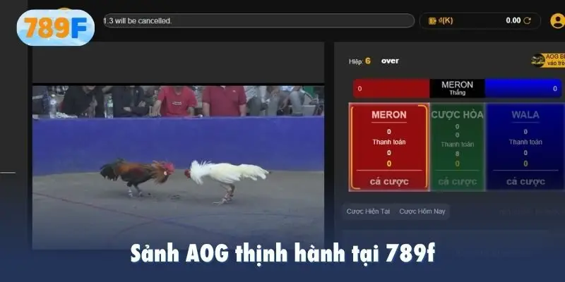 Sảnh AOG thịnh hành tại 789f
